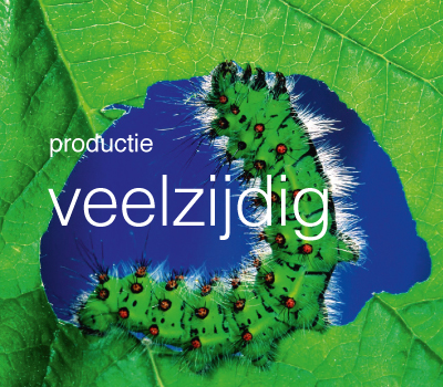 Veelzijdig in productie