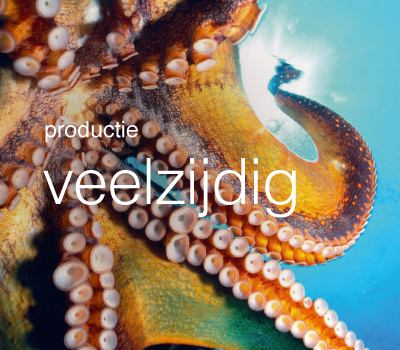 Veelzijdig in productie